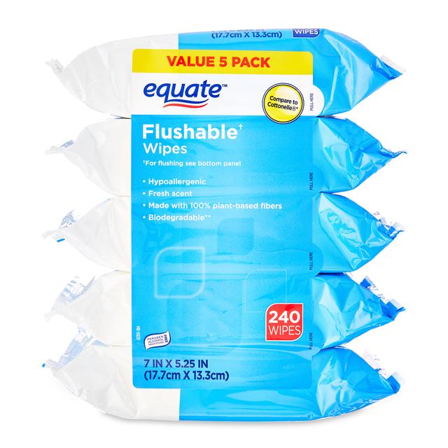-5-equate-fresh-scent-flushable-(240-wipes)-budgetyid